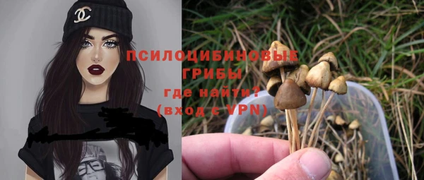 индика Остров