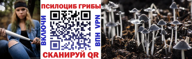 Псилоцибиновые грибы мухоморы  дарнет шоп  omg рабочий сайт  Ржев 